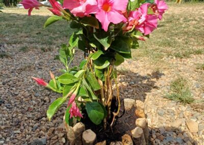 Baboo Alentejo Retreat Center