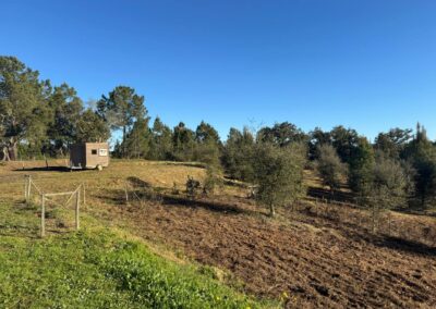 Comfortable retreat accommodation at Baboo Alentejo wellness sanctuary in Portugal